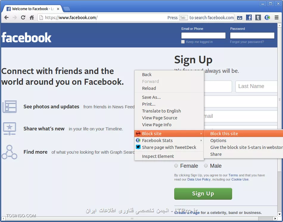 وب سایت توسینسو