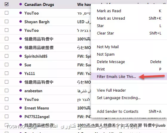 وب سایت توسینسو