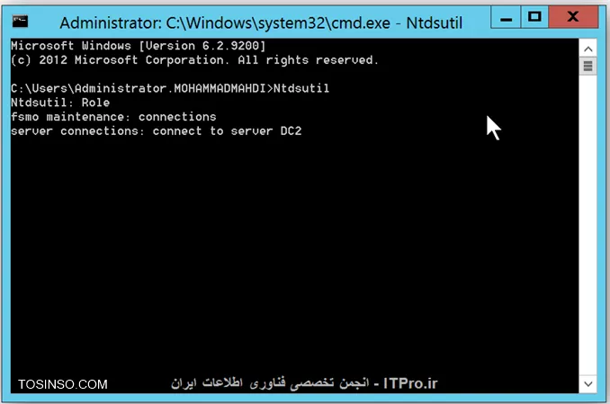 وب سایت توسینسو