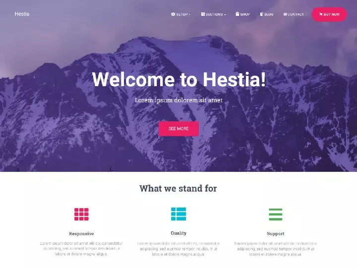 قالب Hestia