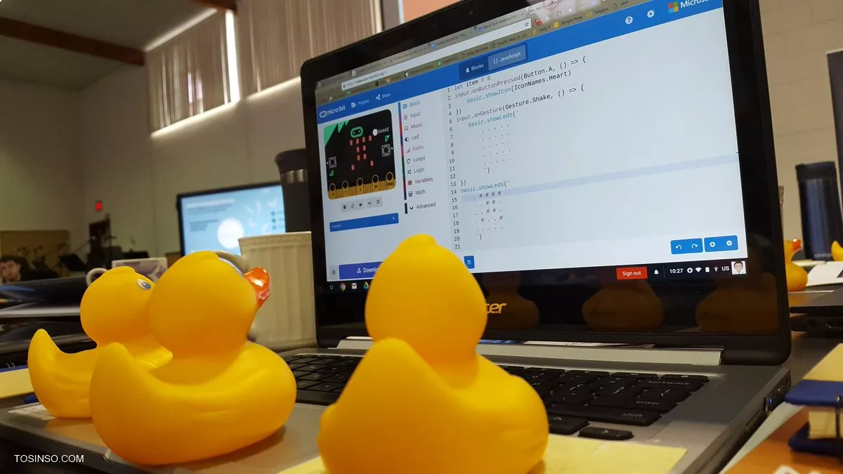 Rubber Duck Debugging