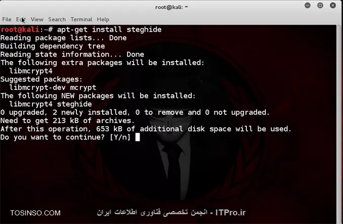 نهان نگاری  Steganography و کشف نهان نگاری در لینوکس با استفاده از ابزار خط دستور StegHide 