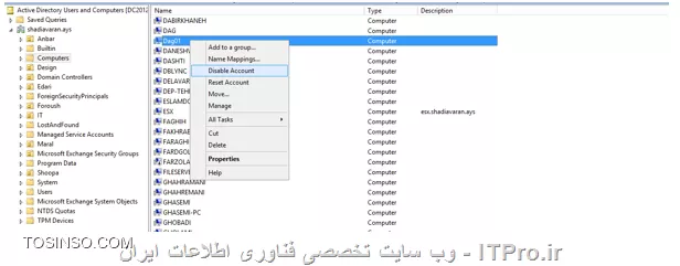 وب سایت توسینسو