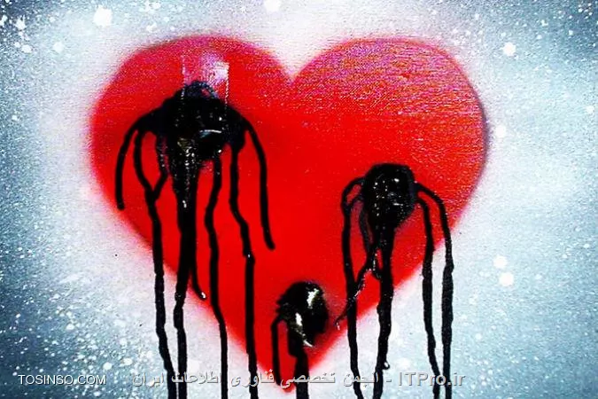 HeartBleed