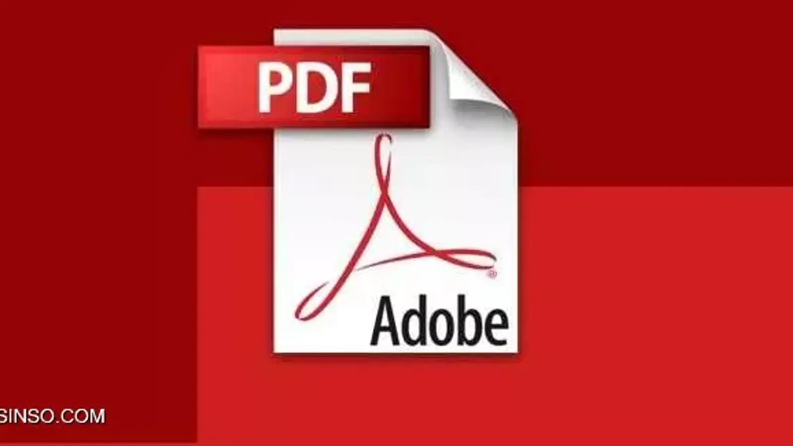 بررسی تاثیر فایل PDF در سئو | آیا PDF محتوا در SEO تاثیر دارد؟