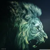 میلاد نادری سامانی