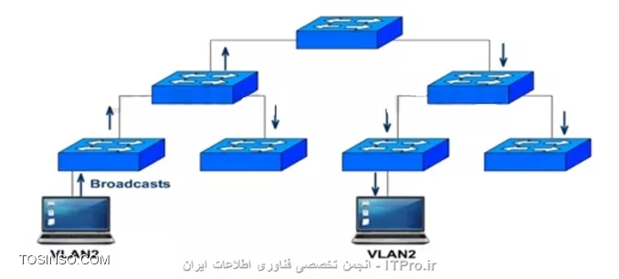 وب سایت توسینسو