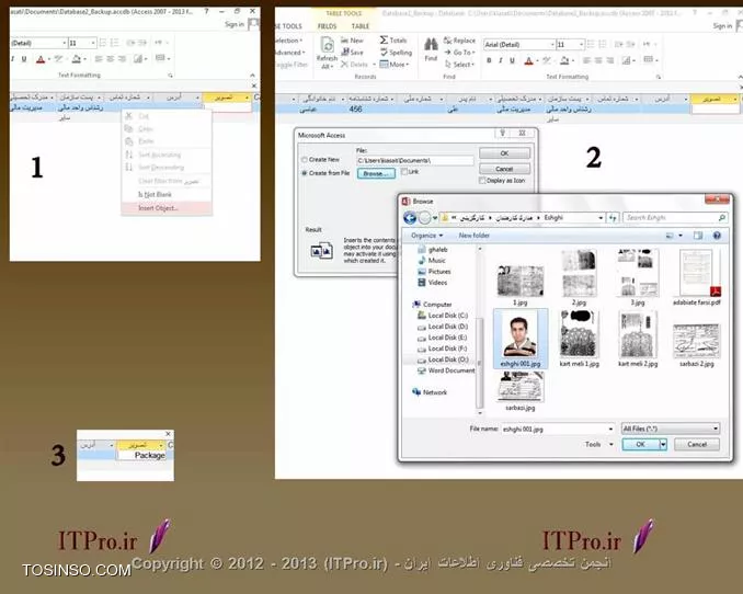 وب سایت توسینسو