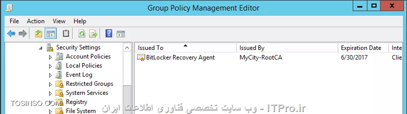 وب سایت توسینسو
