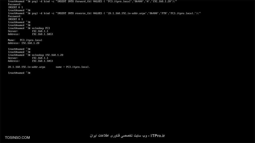وب سایت توسینسو