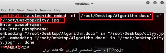 نهان نگاری  Steganography و کشف نهان نگاری در لینوکس با استفاده از ابزار خط دستور StegHide 