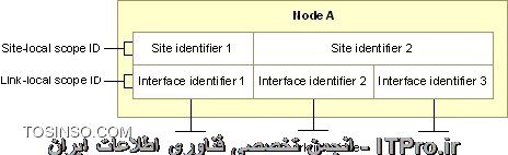 برای درک بهتر این مورد، کلمه کلیدی  IPv6 address scope رو سرچ کنید.
مفهوم IPv6 نسبت به IPv4 اندکی تغییر ماهوی داشته است. در IPv4، آدرسها به آداپتورها (لینک ها) اختصاص داده می شدند، و این مفهوم بعدها به همراه یکسری مشکلات دیگر، با چند آدرس همزمان در تضاد بود؛ هر چند تعدد آدرس به یک آداپتور عملا پیاده سازی شد. در IPv6 این مفهوم اصلاح شد و آدرسها به اینترفیس ها اختصاص داده می شوند. به همین ترتیب هر اینترفیس انتظار دارد برای مقاصد گوناگون دارای آدرس های متفاوت باشد. مقاصد گوناگون همان Scope ها هستند. اینترفیس یک مفهوم انتزاعی و نه لزوما فیزیکی دارد، یعنی هر چیزی که درخواست ارتباط داشته باشد. اینترفیس می تواند یک سنسور کوچک در قلب انسان باشد یا سنسوری در تایر ماشین. هر اینترفیس برای مقاصد و اهداف گوناگون، می تواند چندین آدرس IPv6 بگیرد.
چهار حوزه برای هر اینترفیس قابل تعریف است: Global, Site/Unique local, Link local ,Interface local. بحث پیرامون ویژگی ها و محدودیت ها و تنوع آدرس های هر حوزه، زیاد است و در حوصله این پاسخ نیست.
به غیر از حوزه Global، که اجبارا آدرس ها از سوی IANA ، منحصر به فرد تولید و فروش می شوند، آدرس های بقیه حوزه ها این قابلیت را دارند که که در بیرون از حوزه خود تکرار شوند.

فرض کنید کارت شبکه اترنت کامپیوتر A را به B، و B را به C کرده ایم. در اینجا دو حوزه و اسکوپ Link Local داریم، یکی لینک بین A,B و دیگری لینک بین B,C. هر حوزه مستقل از هم است. آدرس هایش همدیگر را نمی بینند و اساسا ارتباط و آدرس هر لینک فقط در حوزه خودش معتبر است و بیرون از حوزه خودش نمی رود. از طرفی آدرس IPv6 ی که درون هر حوزه لینک، به نودها می دهیم باید منحصر به فرد باشد، نتیجه اینکه دو اسکوپ از نوع Link local داریم. در هر لینک هم فعلا دو نود متصل داریم، به نحوی که فقط در هر لینک، ما مجبور هستیم آدرسهای منحصر به فرد به نود بدهیم.
برای لینک A متصل به B داریم:
FE80::1/64
برای لینک B متصل به A داریم:
FE80::2/64
برای لینک B متصل به C داریم:
FE80::2/64
برای لینک C متصل به B داریم:
FE80::1/64
در مثال فوق، منحصر به فرد بودن آدرس هر نود، فقط در حوزه لینک خودش رعایت شده است. همانطور که توضیح دادیم. یعنی با اینکه آدرس لینک A با C یکسان است، اما مشکلی در شبکه پیش نخواهد آمد.
حال بپردازیم به کامپیوتر B: در کامپیوتر B اگر چه قانون منحصر به فرد بودن آدرس در یک لینک، رعایت شده است اما هنوز یک مشکل داریم، اگر بسته ای به مقصد FE80::1/64 اارسال شود، کامپیوتر B باید از کجا بفهمد که بسته را از کدام لینک خارج کند؟ اصلا نوع دیگری می پرسیم: فرض کنید ادرس های Aو C فرق می کردند. بسته ای با ادرس مبداء FE80::2/64 تولید شده و می خواهد برود، کامپیوتر B از کجا بفهمد این بسته را باید از کدام لینک خارج کند؟ اولی یا دومی؟

به شکل زیر دقت کنید:
||http://network.tosinso.com/files/get/91b4f9d1-cef8-47d1-881a-2ca7920e4d81||
هاست پایینی، سه اینترفیس داردکه هر سه تایش یک آدرس یکسان از نوع Link local دارد. مشکلی هم نیست، چرا که هر اینترفیس در لینک مجزایی قرار گرفته است. اگر هاست پایینی بخواهد بسته ای با آدرس مبداء FE80::1 ارسال کند، از کجا بفهمد که بسته را از کدام اینترفیس خارج کند؟

این جا است که مفهومی به اسم IPv6 zone Identifier یعنی: شناسه حوزه IPv6، معرفی می شود. اطلاعات تکمیلی را می توانید در RFC4007 پی بگیرید.
و اما این شناسه چیست؟ RFC4007، تعریف می کند که zone ID یک شناسه برای حوزه ای است که یک آدرس به آن حوزه متعلق است.
zone ID باید بصورت خودکار و توسط نرم افزار راه انداز IPv6، تولید و اختصاص یابد، چرا که منطقی است که این شناسه اساسا نباید دستی یا انسانی تولید و اختصاص یابد. پس از این به بعد در نظر می گیریم که هر نودی بالاجبار و خودکار، به ازای هر site و link و Interface اش، یک شناسه منحصر بفرد تولید می کند و اختصاص می دهد.نباید تصور کنید که در کل توپولوژی ، هر site,link,interface دارای یک شناسه منحصر بفرد است! اینطور نیست! این شناسه ها محلی هستند و به ازای هر نود هستند. یعنی هر نودی برای خودش و درون دیتا بیس خودش، در ازای هر site,link,interface یک شناسه تولید می کند. جمع بندی اینکه: zone identifier، یک شناسه است که به انتهای هر آدرس غیر Global، چسبیده می شود. توسط نرم افزار و بصورت اجباری و خودکار تولید می شود. این شناسه توسط نود تولید می شود و فقط در درون خود همان نود معتبر است.
جهت تکمیل و اختتام توضیحاتم، به این دو شکل نیز توجه کنید:
||http://network.tosinso.com/files/get/5f92a828-e34d-4591-8cae-d87f628e2d40||

||http://network.tosinso.com/files/get/2109f209-14fb-46ff-81ec-443305f762e4||

نود A، دو حزه از نوع site دارد، که در سایت 1، اینترفیس 1 و در سایت2، اینترفیس های 2و 3 دارد.
با توجه به شکل پایینی، موقع اتصال سایت2 از نود A، به سایت 1 از نود B، سه اینترفیس با یکدیگر در گیرمی شوند. با توجه به شکل نتیجه می گیریم: هر اینترفیس در درون یک لینک ، هر لینک در درون یک سایت و هر سایت در درون یک نود، باید شناسه منحصر به فرد داشته باشد. و تمام این شناسه ها نیز منحصر به همان نود است. برای مثال در دو شکل فوق داریم:
For Node A, the address is FE80::2%3
For Node B, the address is FE80::2%1