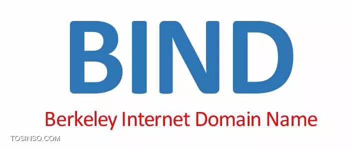 DNS سرور BIND