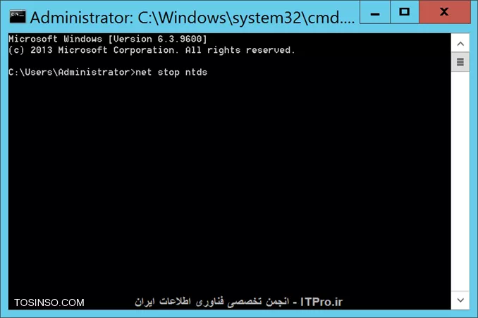 وب سایت توسینسو