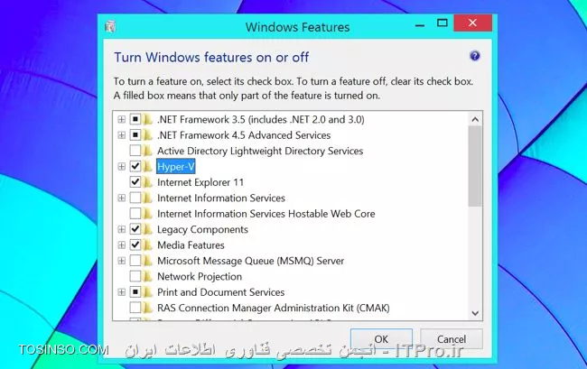 وب سایت توسینسو