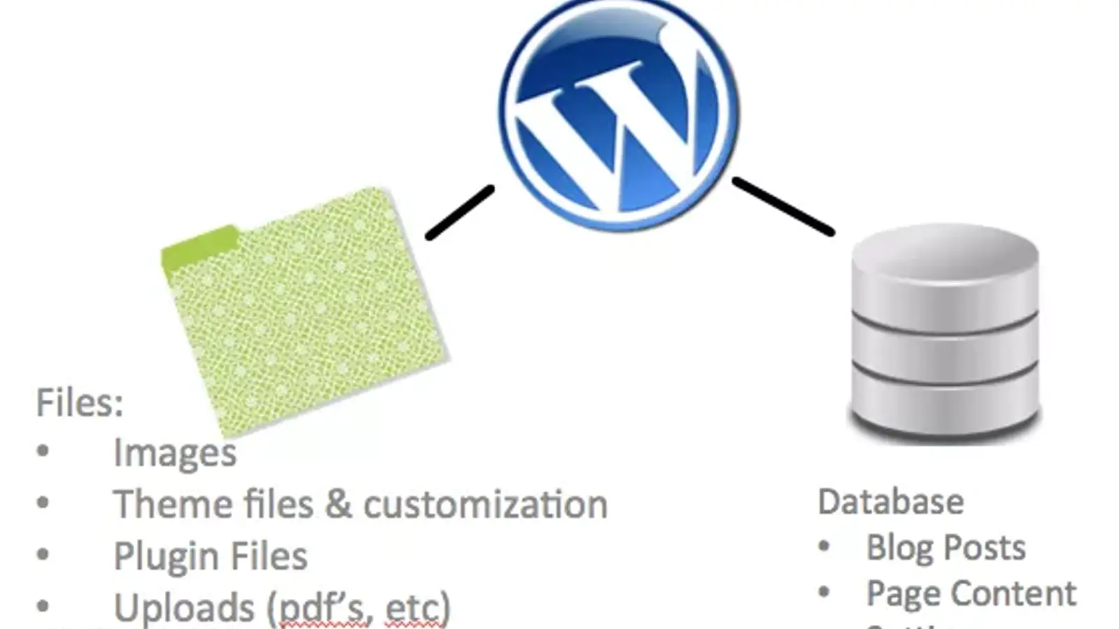 فایل wp-config.php چیست؟ آموزش پیکربندی وردپرس با فایل config