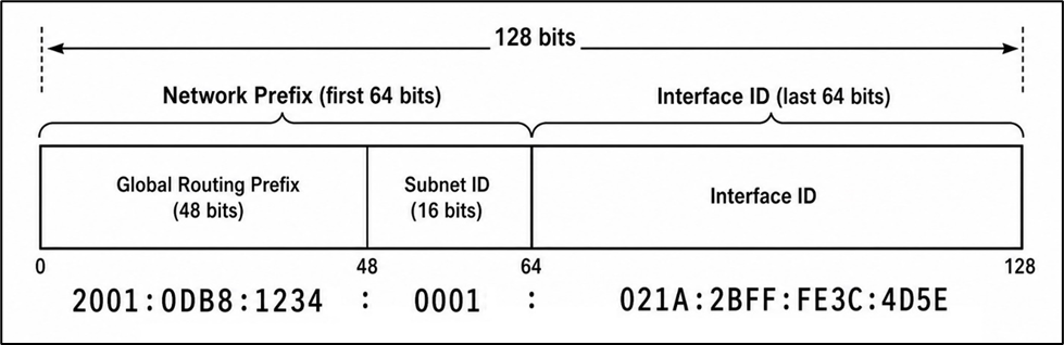 تصویر 8: ساختار IPv6