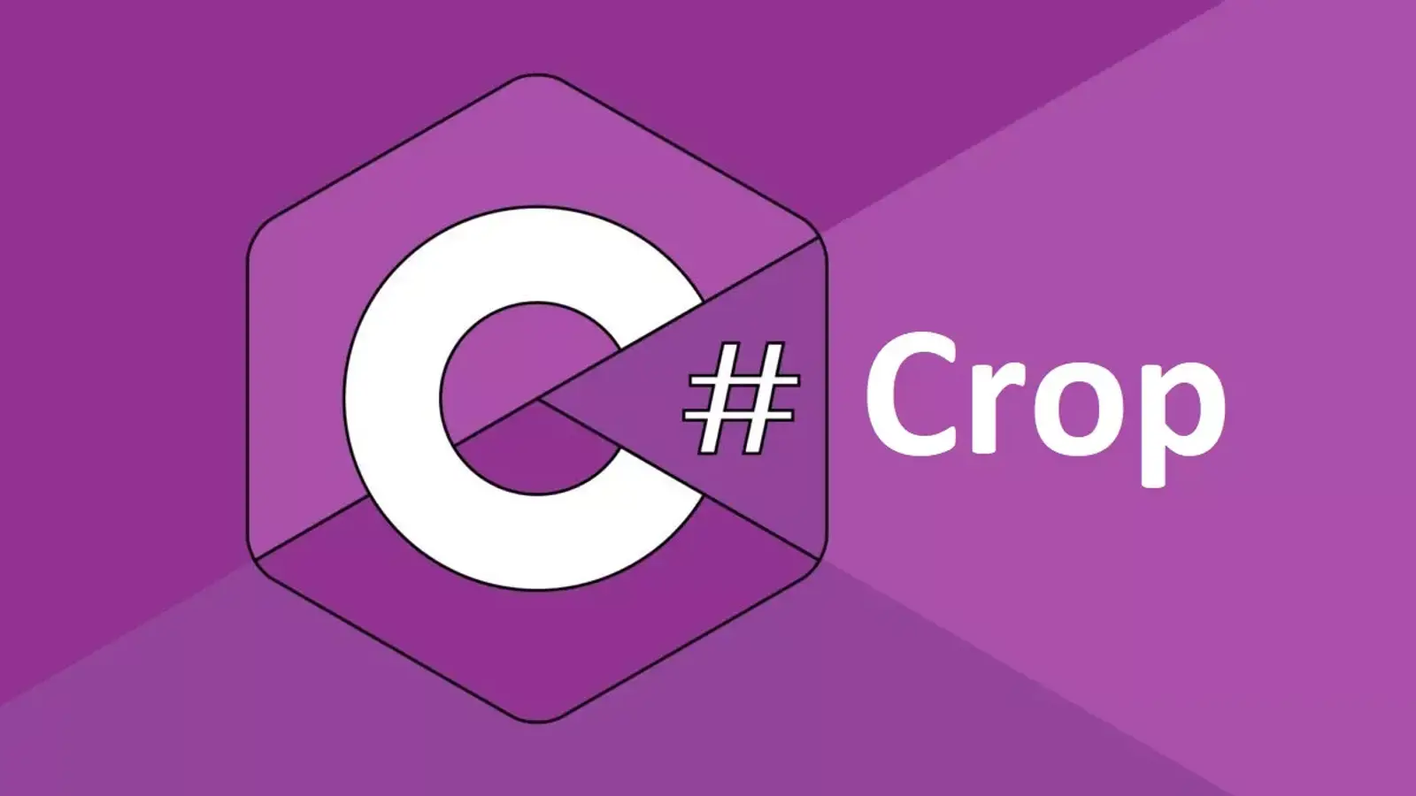 آموزش برش یا Crop کردن تصاویر در سی شارپ