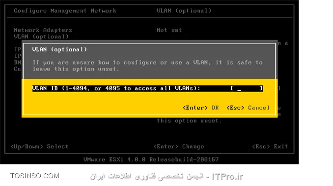 وب سایت توسینسو