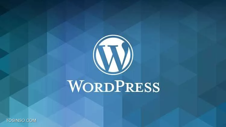 وردپرس چیست؟ معرفی مزایا و معایب Wordpress به زبان ساده