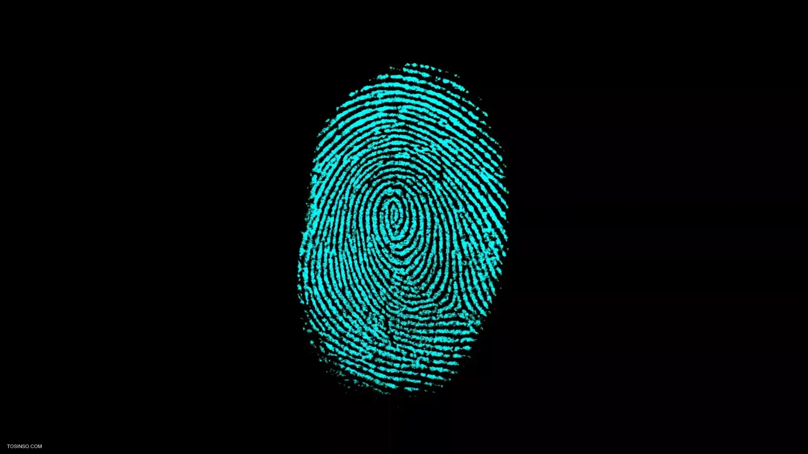 آموزش قراردادن قفل امنیتی اثرانگشت در ویندوز با گوشی به زبان ساده