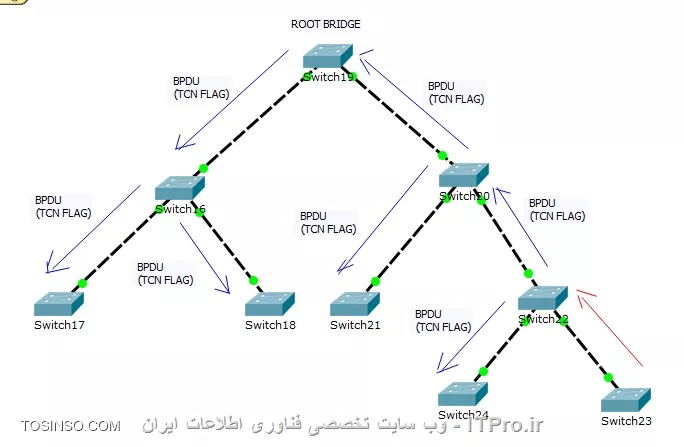 TCN BPDU