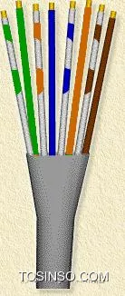 وب سایت توسینسو