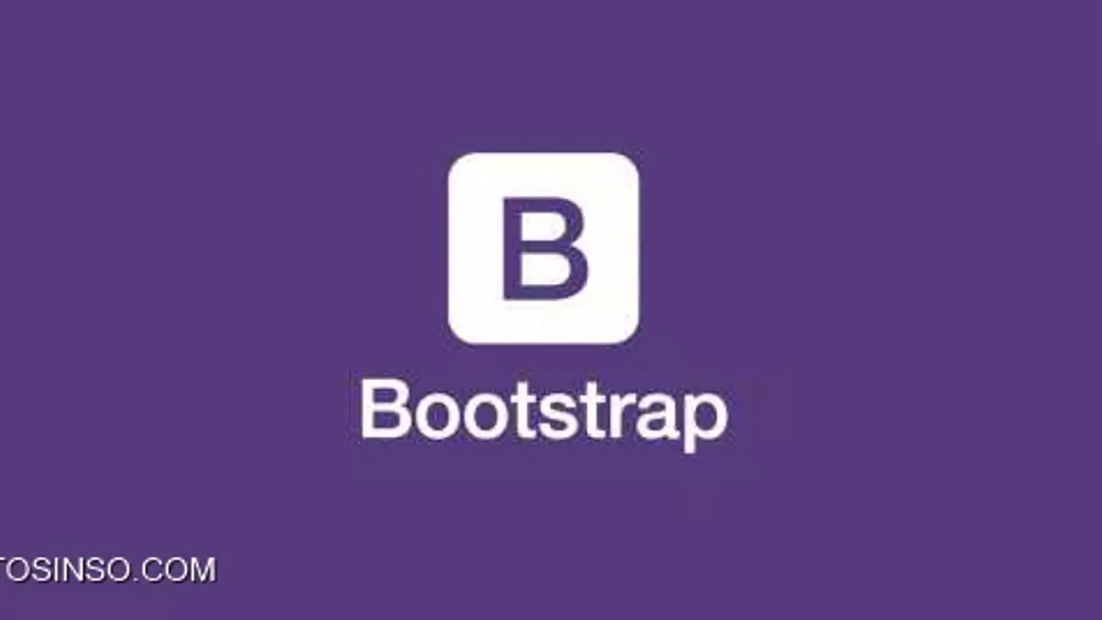 کاربرد Container و Container Fluid در بوت استرپ چیست؟