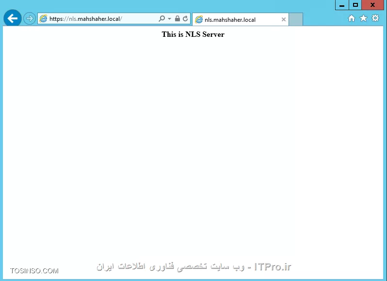 وب سایت توسینسو