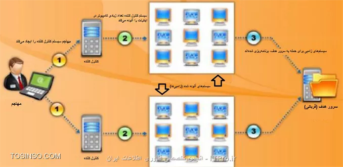 وب سایت توسینسو