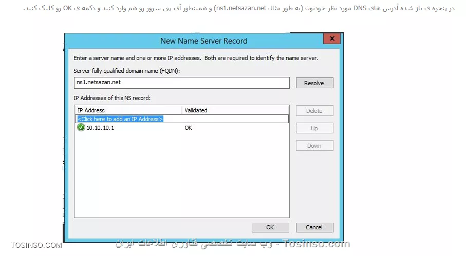 ||https://network.tosinso.com/files/get/69fb9607-95ba-4b98-8385-9c229d89049a||

ببینید. اینجا وقتی به عنوان مثال ns1.examle.com رو وارد میکنم (دامنه خودم رو وارد می کنم) و resolve رو می زنم ریزولو انجام نمیشه و خطا صادر میشه. 
||https://network.tosinso.com/files/get/1351e5ba-d8e1-428e-803d-159a80cf2cc4||
