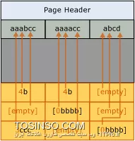 وب سایت توسینسو