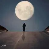 زهره کریمی