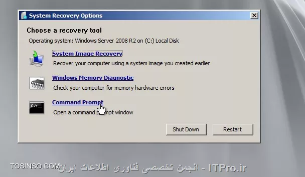 وب سایت توسینسو