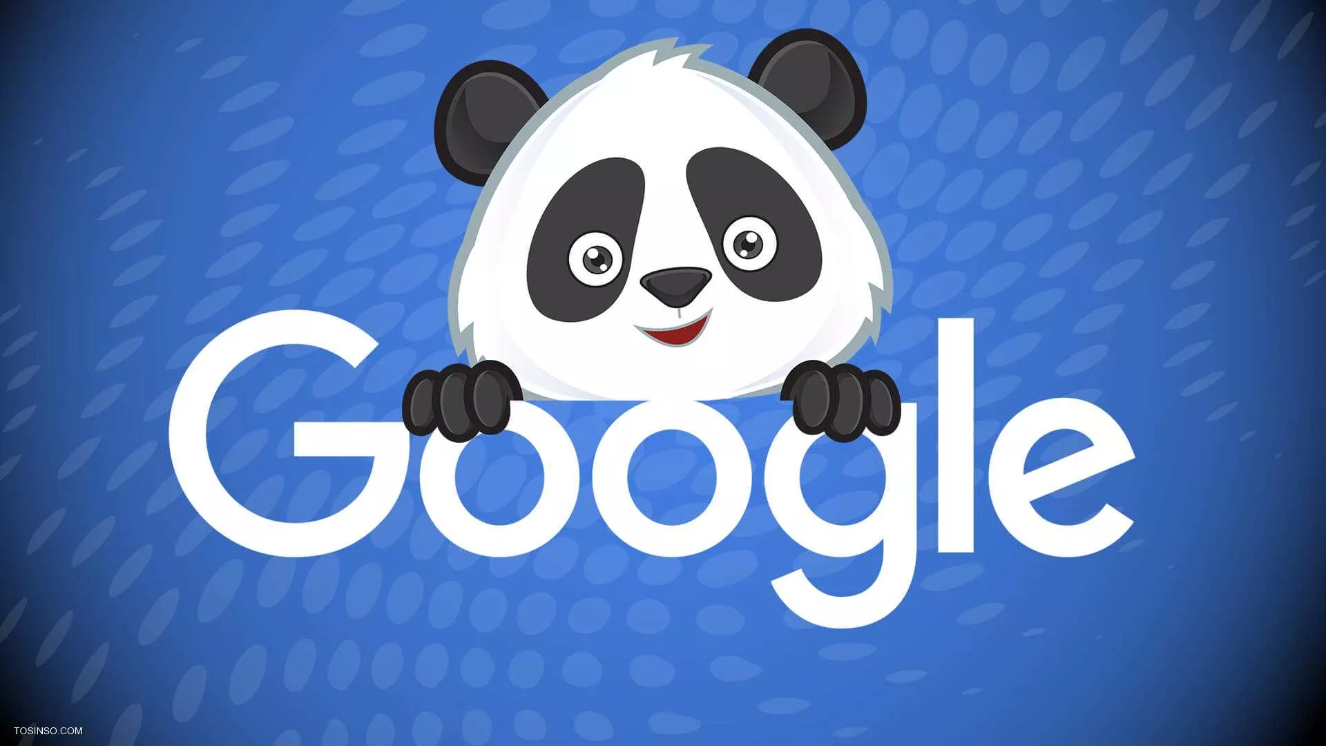 الگوریتم پاندای گوگل یا Panda Algorithm چیست؟