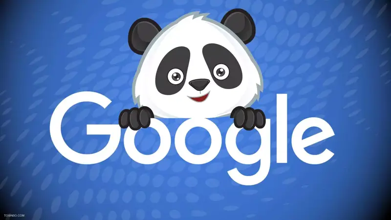 الگوریتم پاندای گوگل یا Panda Algorithm چیست؟