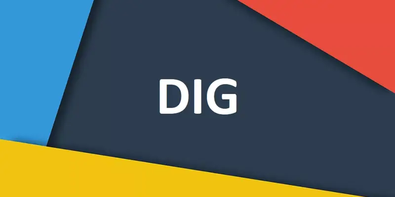 آموزش دستور DIG لینوکس به زبان ساده
