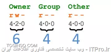 وب سایت توسینسو