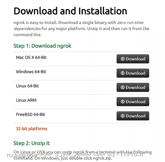 Ngrok Download