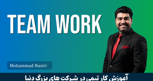 آموزش کار تیمی در شرکت های خارجی ( ویژه مهاجرت تخصصی آی تی )