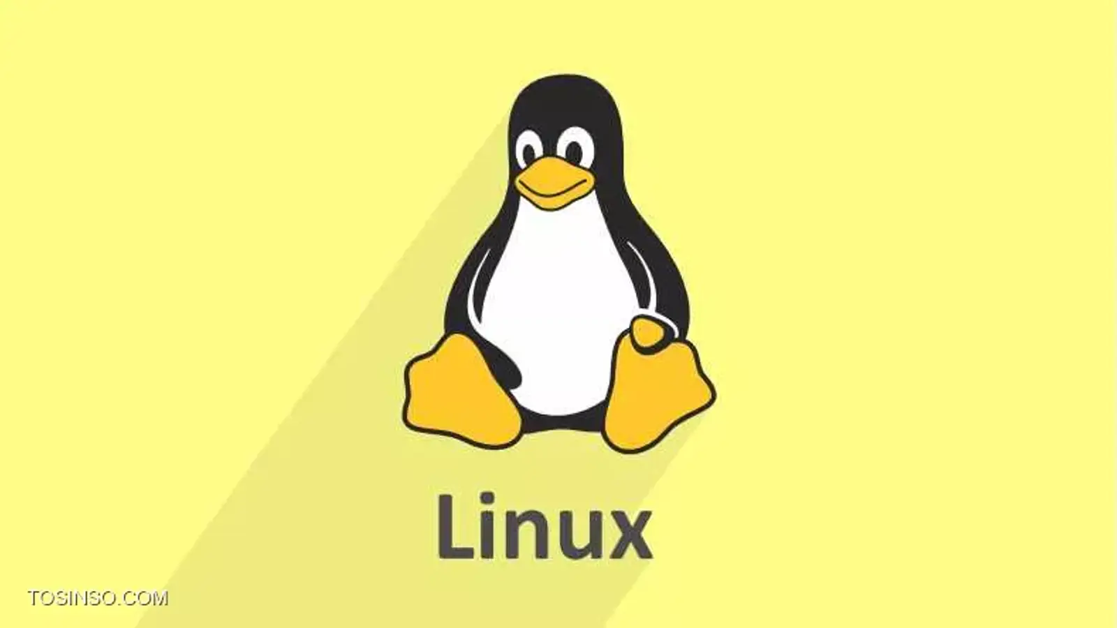 Sticky Bit چیست و چگونه در لینوکس ایجاد و حذف می شود؟