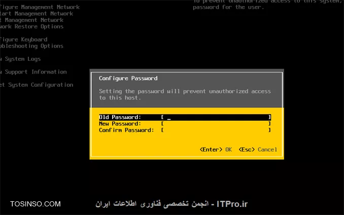 وب سایت توسینسو