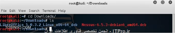 kali Shell