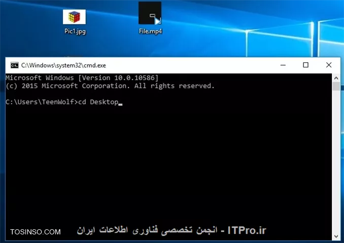 وب سایت توسینسو
