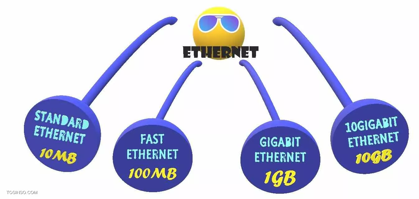 وب سایت توسینسو