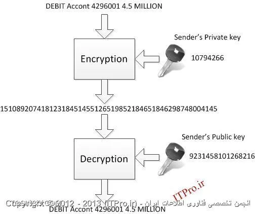 وب سایت توسینسو
