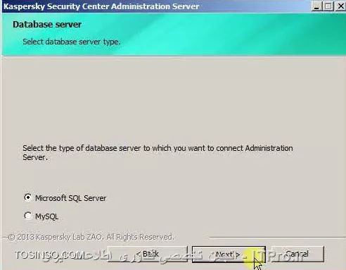 وب سایت توسینسو