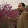 احمد نظری