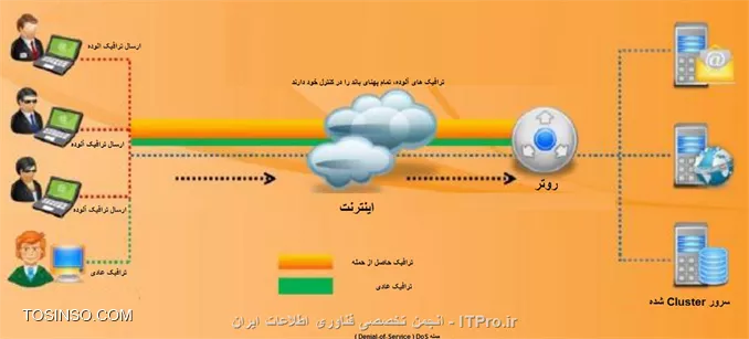 وب سایت توسینسو