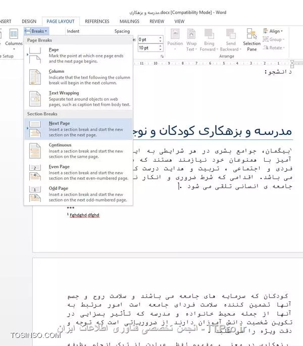 وب سایت توسینسو